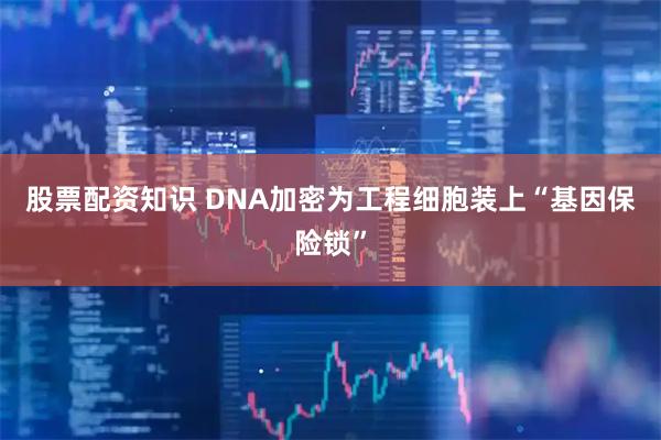 股票配资知识 DNA加密为工程细胞装上“基因保险锁”