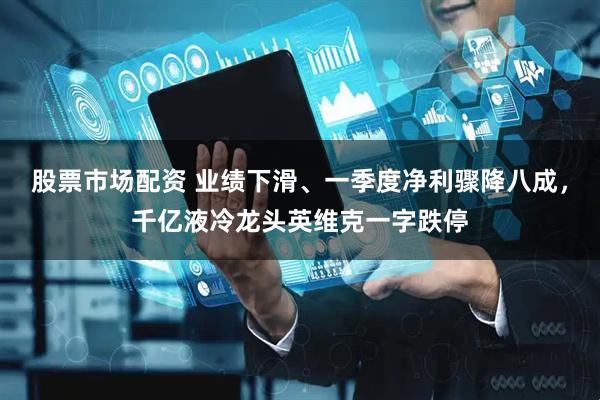股票市场配资 业绩下滑、一季度净利骤降八成，千亿液冷龙头英维克一字跌停